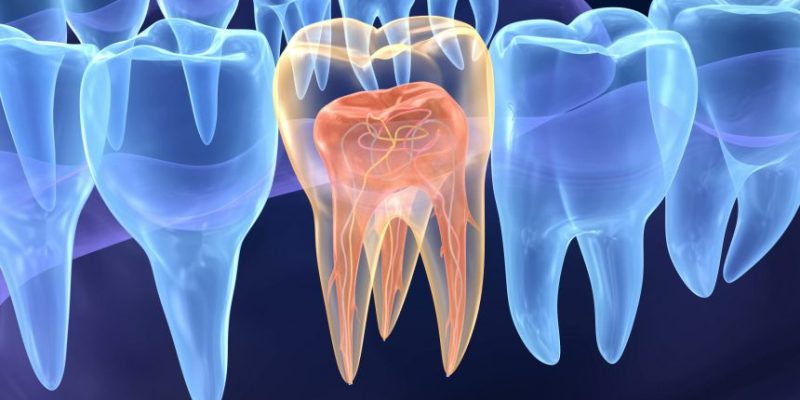 endodontia_2-860x484